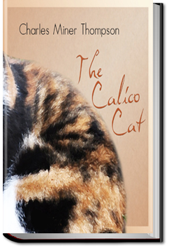 The Calico Cat | Charles Miner Thompson